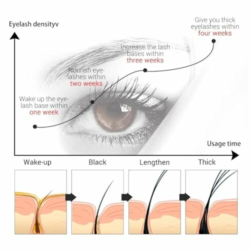 Diagram showing eyelash growth stages over four weeks