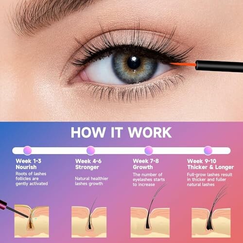 Diagram showing eyelash growth process over 10 weeks with illustrations.